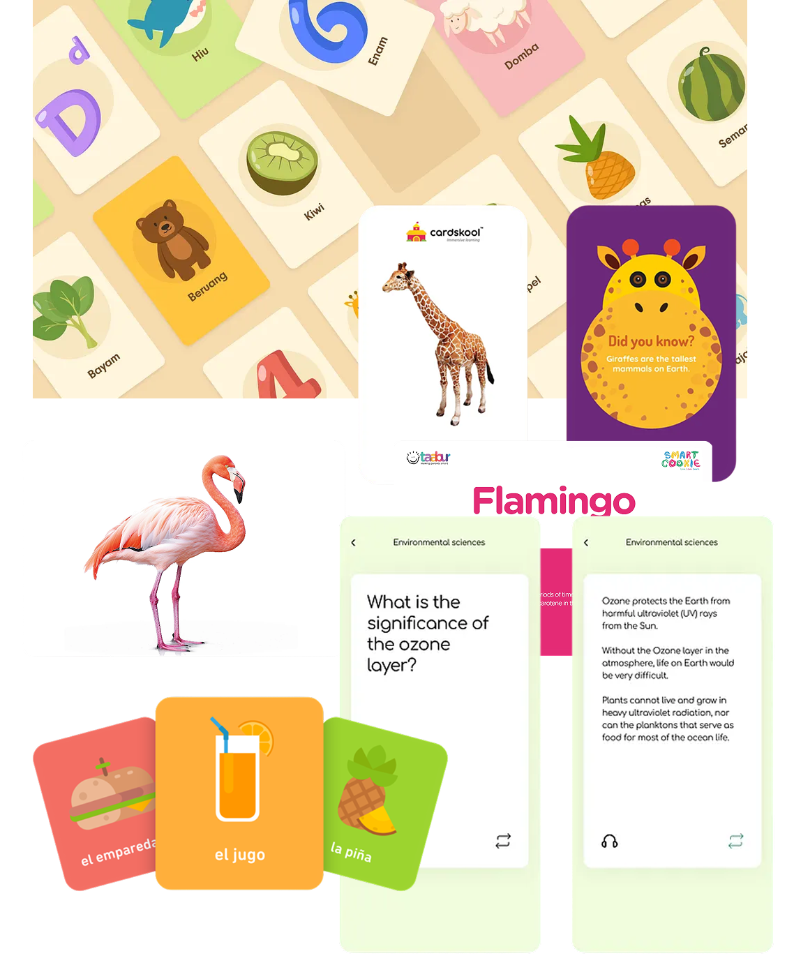 Flashcaard Inspiration